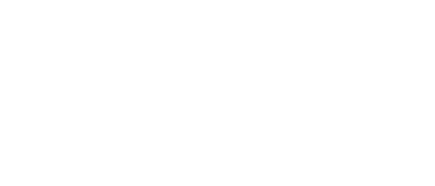 Mind-Body Balance™ | Executive Leadership Stabilization
